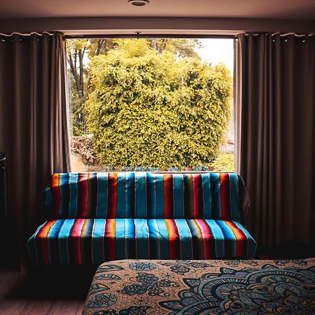 Suites Cuija Coyoacan Kota Meksiko Bagian luar foto